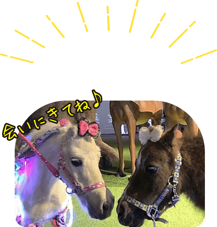 東京メガイルミで光と馬を楽しもう♪