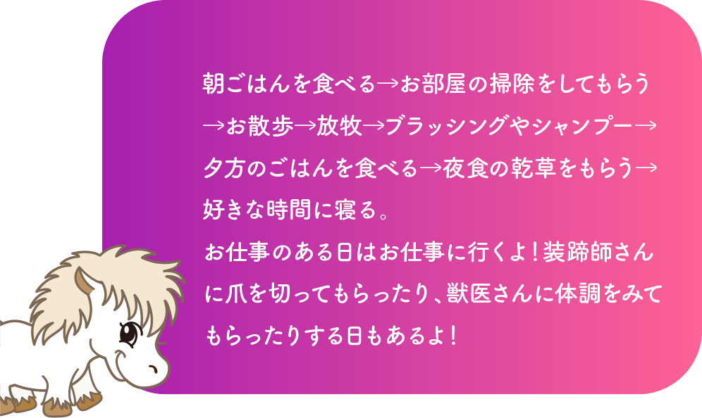 朝ごはんを食べる→お部屋の掃除をしてもらう→お散歩→放牧→ブラッシングやシャンプー→夕方のごはんを食べる→夜食の乾草をもらう→好きな時間に寝る。お仕事のある日はお仕事に行くよ！装蹄師さんに爪を切ってもらったり、獣医さんに体調をみてもらったりする日もあるよ！