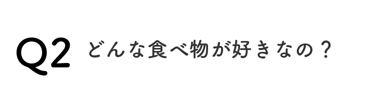 Q2どんな食べ物が好きなの？