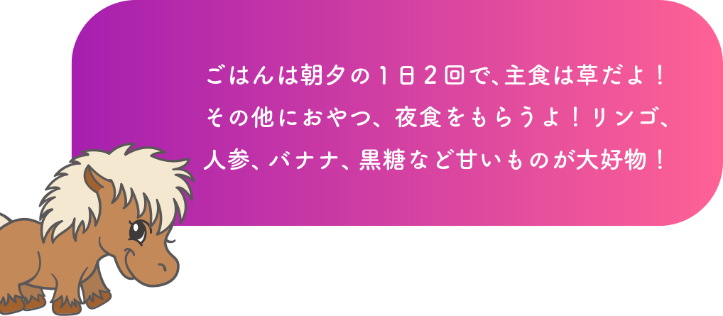 ごはんは朝夕の1日2回で、主食は草だよ！その他におやつ、夜食をもらうよ！リンゴ、人参、バナナ、黒糖など甘いものが大好物！