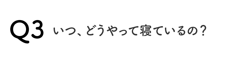 Q3いつ、どうやって寝ているの？