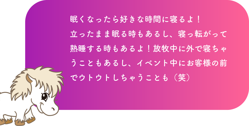 眠くなったら好きな時間に寝るよ！立ったまま眠る時もあるし、寝っ転がって熟睡する時もあるよ！放牧中に外で寝ちゃうこともあるし、イベント中にお客様の前でウトウトしちゃうことも（笑）