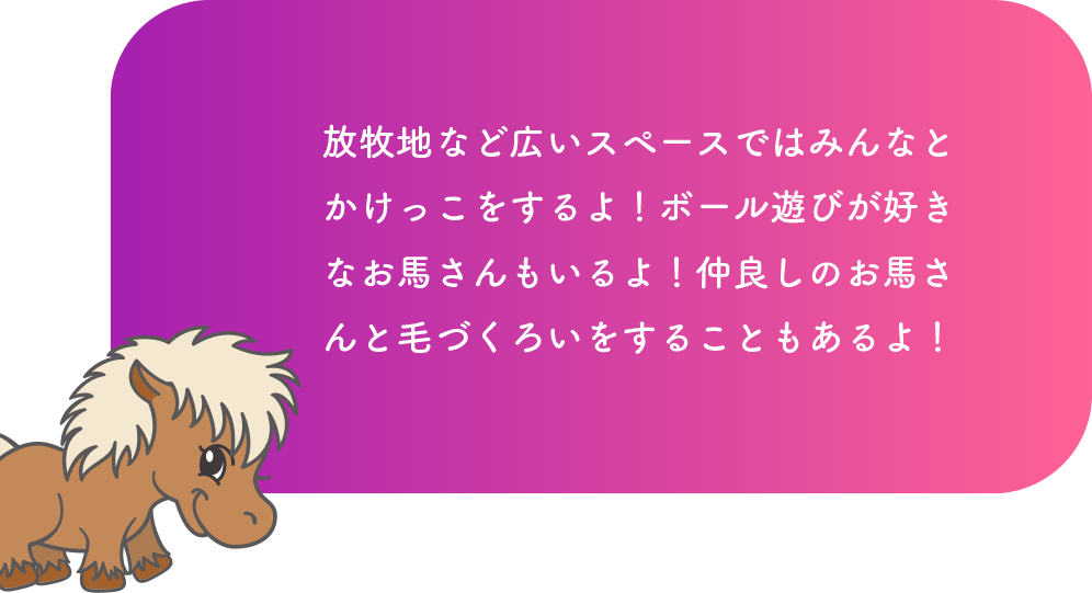 放牧地など広いスペースではみんなとかけっこをするよ！ボール遊びが好きなお馬さんもいるよ！仲良しのお馬さんと毛づくろいをすることもあるよ！