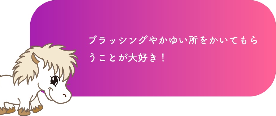 ブラッシングやかゆい所をかいてもらうことが大好き！