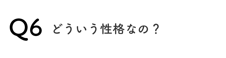 Q6どういう性格なの？