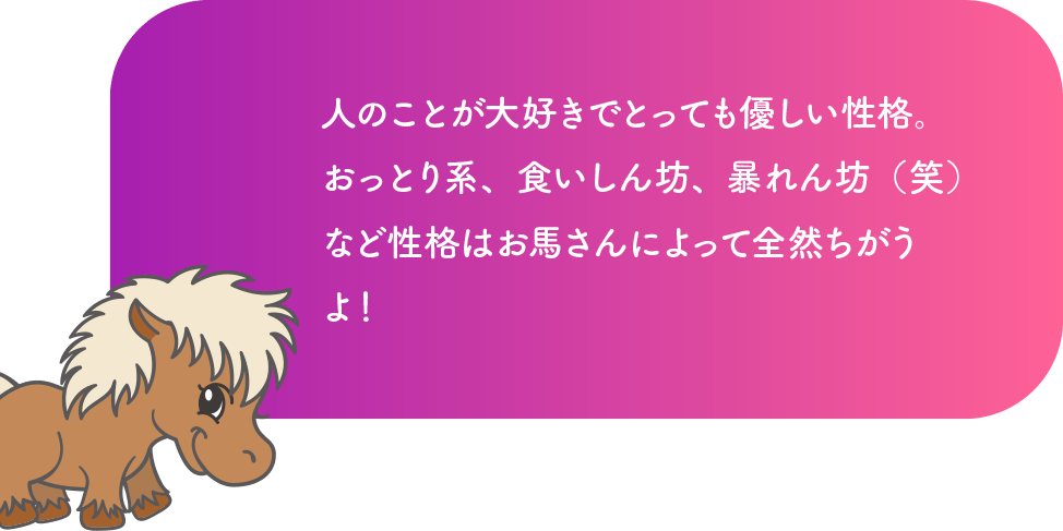 人のことが大好きでとっても優しい性格。おっとり系、食いしん坊、暴れん坊（笑）など性格はお馬さんによって全然ちがうよ！