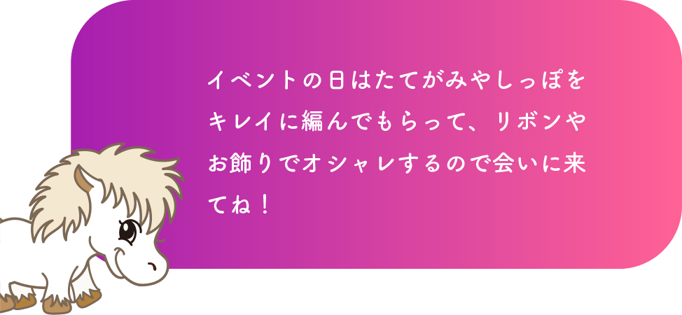 イベントの日はたてがみやしっぽをキレイに編んでもらって、リボンやお飾りでオシャレするので会いに来てね！