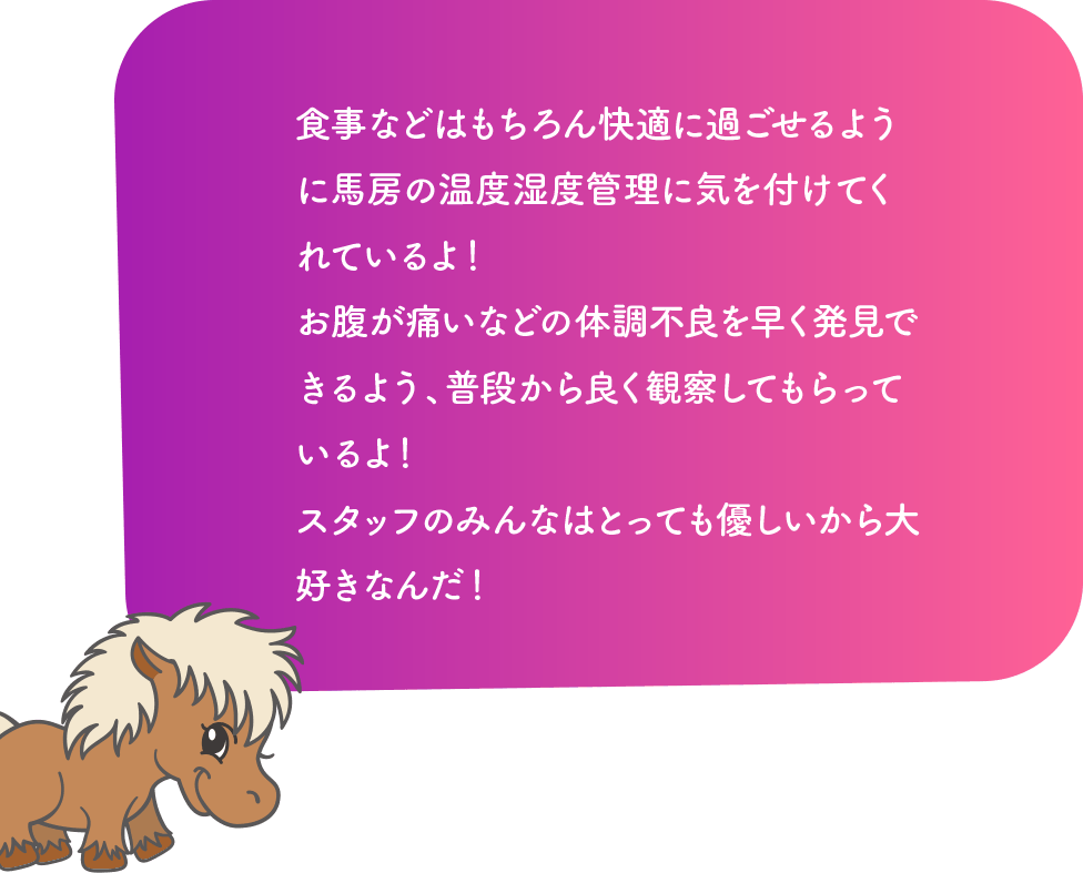 食事などはもちろん快適に過ごせるように馬房の温度湿度管理に気を付けてくれているよ！お腹が痛いなどの体調不良を早く発見できるよう、普段から良く観察してもらっているよ！スタッフのみんなはとっても優しいから大好きなんだ！