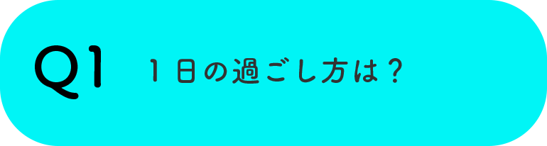 Q11日の過ごし方は？