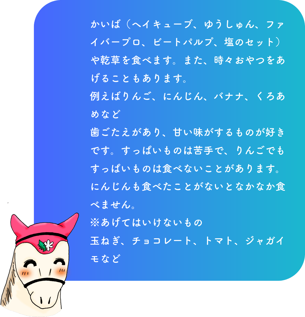 かいば（ヘイキューブ、ゆうしゅん、ファイバープロ、ビートパルプ、塩のセット）や乾草を食べます。また、時々おやつをあげることもあります。例えばりんご、にんじん、バナナ、くろあめなど歯ごたえがあり、甘い味がするものが好きです。すっぱいものは苦手で、りんごでもすっぱいものは食べないことがあります。にんじんも食べたことがないとなかなか食べません。※あげてはいけないもの玉ねぎ、チョコレート、トマト、ジャガイモなど