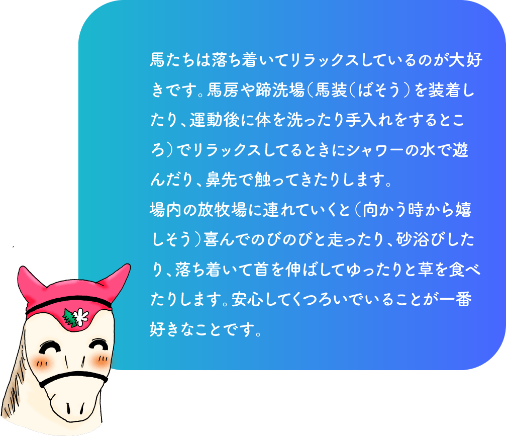 馬たちは落ち着いてリラックスしているのが大好きです。馬房や蹄洗場（馬装（ばそう）を装着したり、運動後に体を洗ったり手入れをするところ）でリラックスしてるときにシャワーの水で遊んだり、鼻先で触ってきたりします。場内の放牧場に連れていくと（向かう時から嬉しそう）喜んでのびのびと走ったり、砂浴びしたり、落ち着いて首を伸ばしてゆったりと草を食べたりします。安心してくつろいでいることが一番好きなことです。