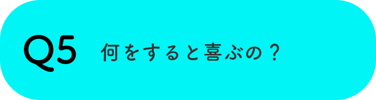 Q5何をすると喜ぶの？