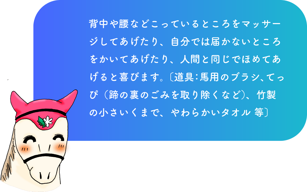 背中や腰などこっているところをマッサージしてあげたり、自分では届かないところをかいてあげたり、人間と同じでほめてあげると喜びます。〔道具：馬用のブラシ、てっぴ（蹄の裏のごみを取り除くなど）、竹製の小さいくまで、やわらかいタオル 等〕