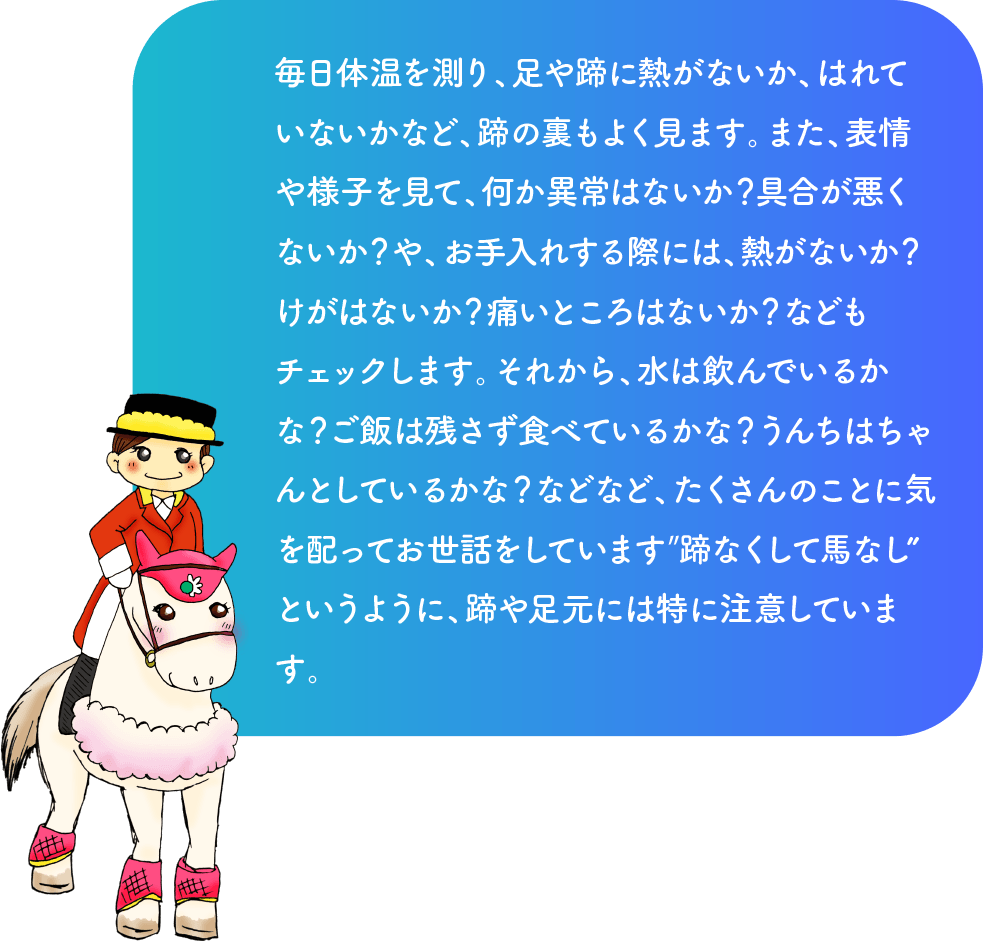 毎日体温を測り、足や蹄に熱がないか、はれていないかなど、蹄の裏もよく見ます。また、表情や様子を見て、何か異常はないか？具合が悪くないか？や、お手入れする際には、熱がないか？けがはないか？痛いところはないか？などもチェックします。それから、水は飲んでいるかな？ご飯は残さず食べているかな？うんちはちゃんとしているかな？などなど、たくさんのことに気を配ってお世話をしています”蹄なくして馬なし”というように、蹄や足元には特に注意しています。