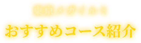 東京メガイルミ おすすめコース紹介